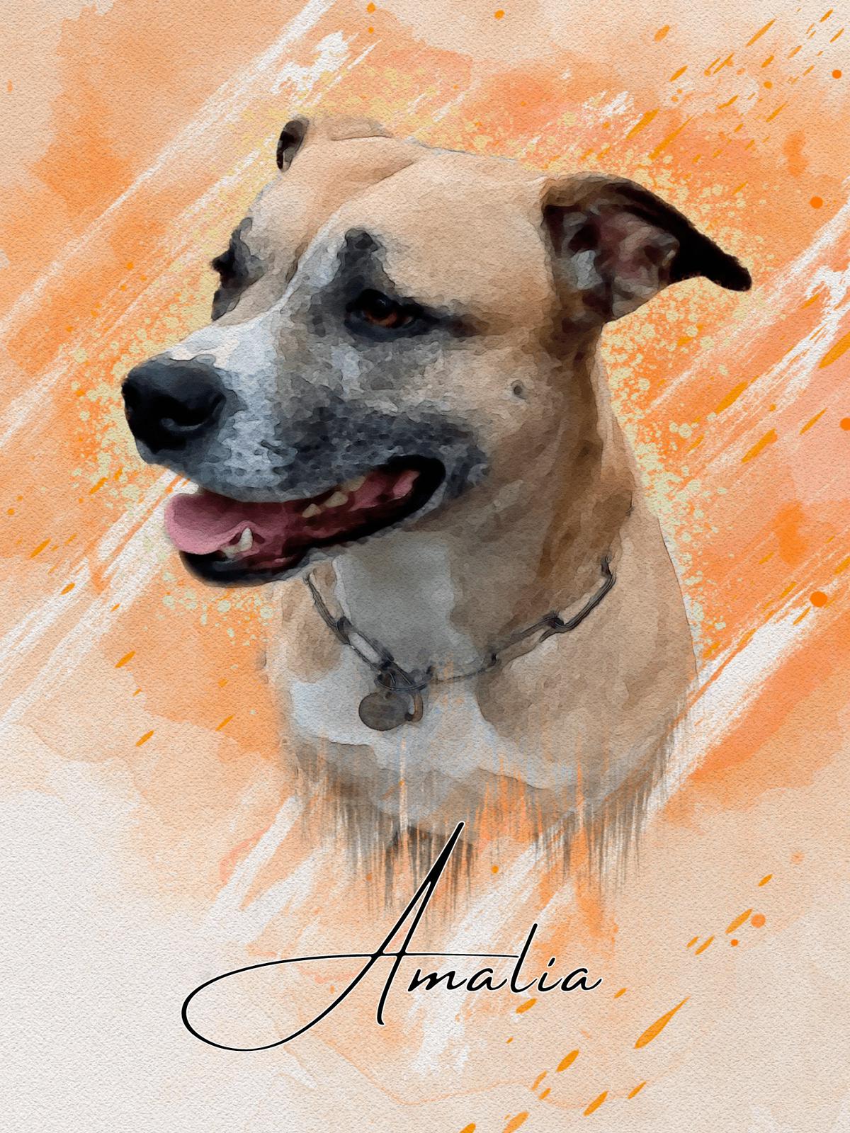 Amalia – sensibler Mix